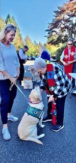 Lady greeting labrador