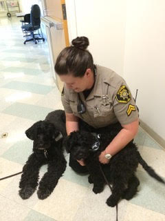 Officer with two dogs